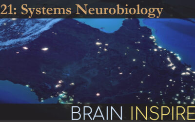 BI 121 Mac Shine: Systems Neurobiology