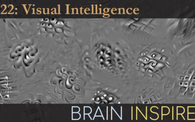 BI 122 Kohitij Kar: Visual Intelligence