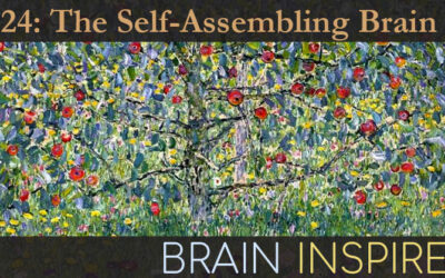 BI 124 Peter Robin Hiesinger: The Self-Assembling Brain