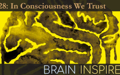 BI 128 Hakwan Lau: In Consciousness We Trust