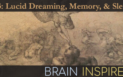 BI 133 Ken Paller: Lucid Dreaming, Memory, and Sleep