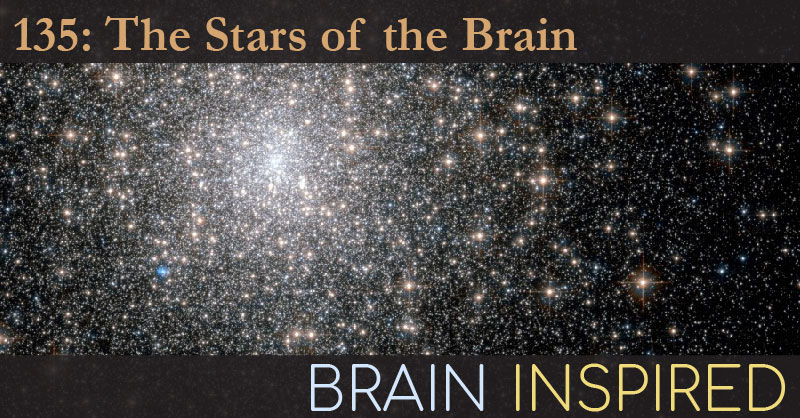 BI 135 Elena Galea: The Stars of the Brain
