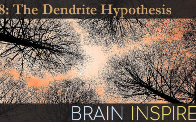 BI 138 Matthew Larkum: The Dendrite Hypothesis