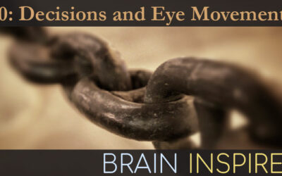 BI 140 Jeff Schall: Decisions and Eye Movements