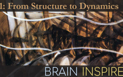 BI 141 Carina Curto: From Structure to Dynamics