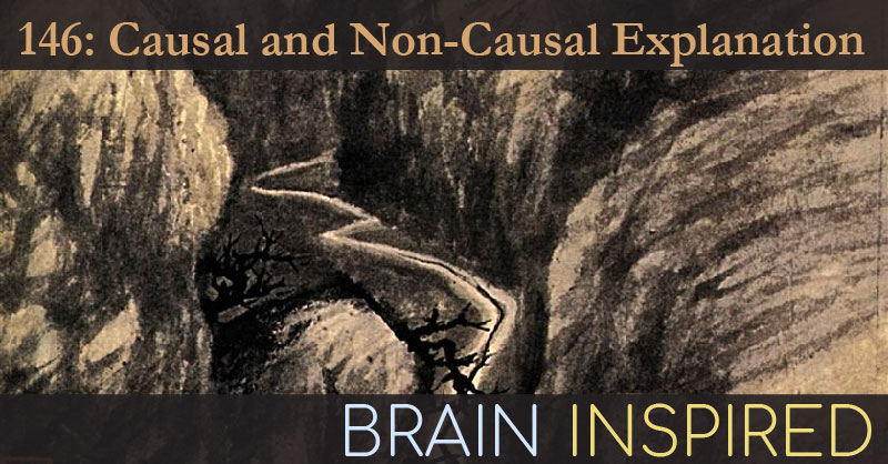 BI 146 Lauren Ross: Causal and Non-Causal Explanation