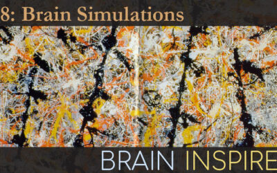 BI 148 Gaute Einevoll: Brain Simulations