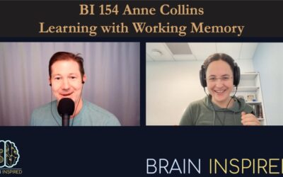 BI 154 Anne Collins: Learning with Working Memory