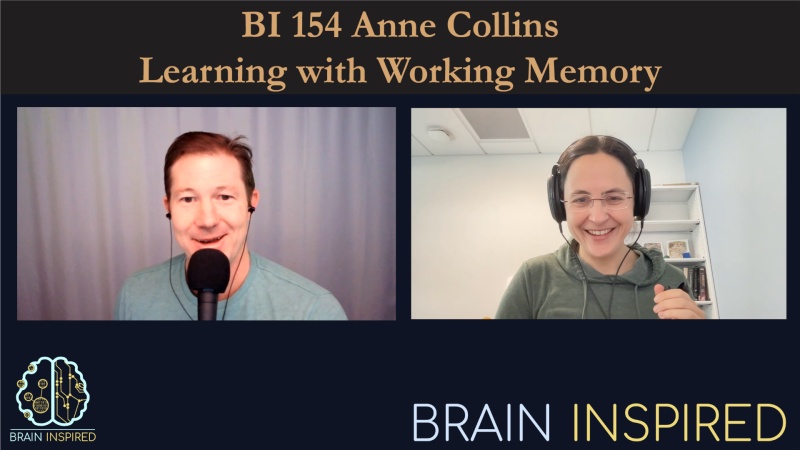 BI 154 Anne Collins: Learning with Working Memory