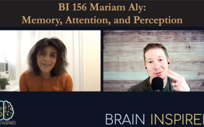 BI 156 Mariam Aly: Memory, Attention, and Perception