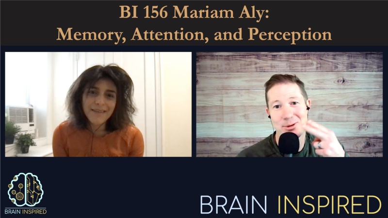 BI 156 Mariam Aly: Memory, Attention, and Perception
