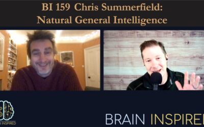 BI 159 Chris Summerfield: Natural General Intelligence