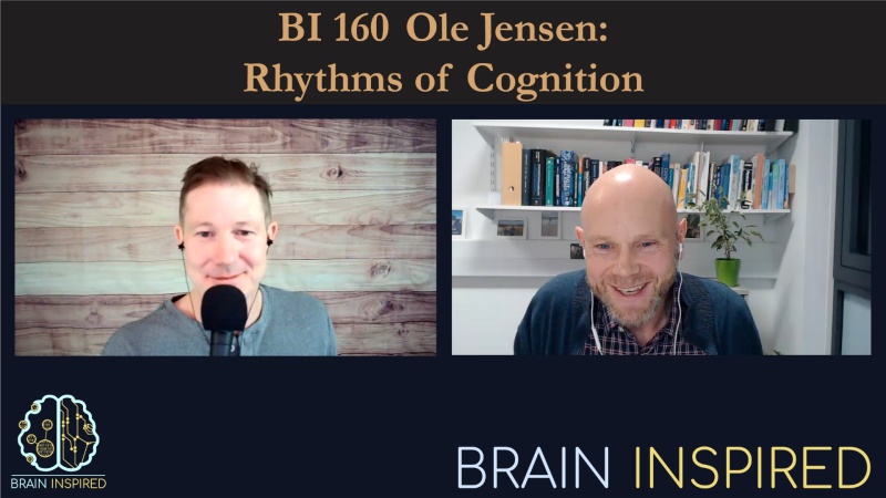 BI 160 Ole Jensen: Rhythms of Cognition
