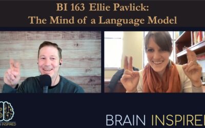 BI 163 Ellie Pavlick: The Mind of a Language Model