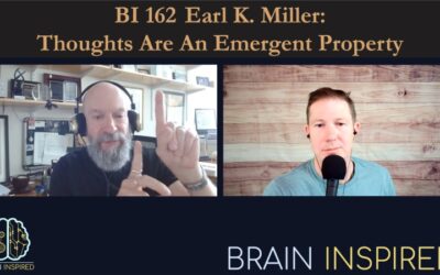 BI 162 Earl K. Miller: Thoughts are an Emergent Property