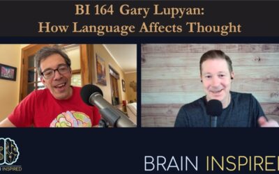 BI 164 Gary Lupyan: How Language Affects Thought