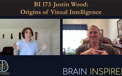 BI 173 Justin Wood: Origins of Visual Intelligence