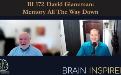 BI 172 David Glanzman: Memory All The Way Down