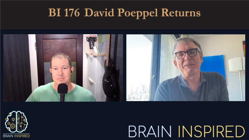 BI 176 David Poeppel Returns