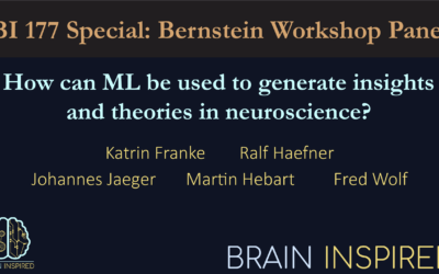 BI 177 Special: Bernstein Workshop Panel