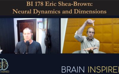 BI 178 Eric Shea-Brown: Neural Dynamics and Dimensions