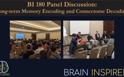 BI 180 Panel Discussion: Long-term Memory Encoding and Connectome Decoding
