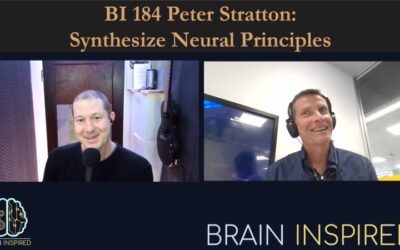 BI 184 Peter Stratton: Synthesize Neural Principles