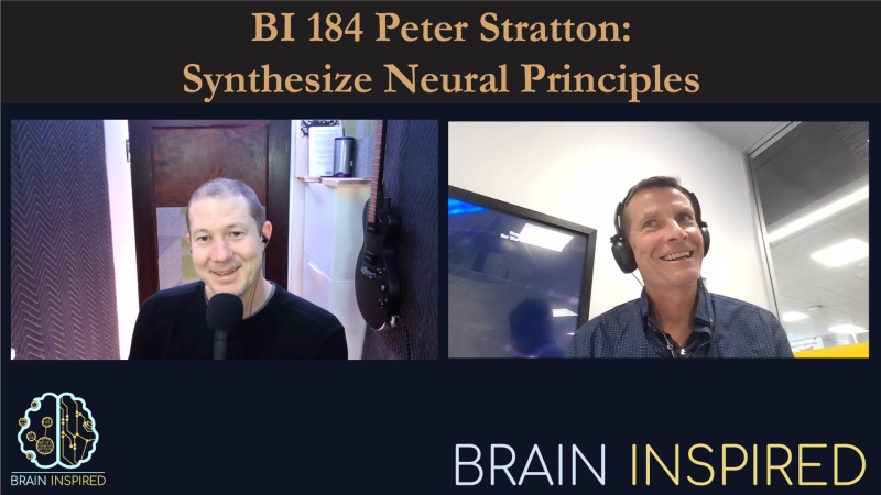 BI 184 Peter Stratton: Synthesize Neural Principles