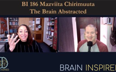 BI 186 Mazviita Chirimuuta: The Brain Abstracted