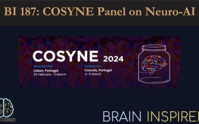 BI 187: COSYNE 2024 Neuro-AI Panel
