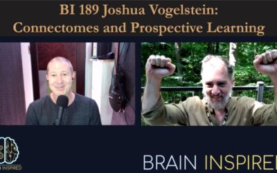 BI 189 Joshua Vogelstein: Connectomes and Prospective Learning