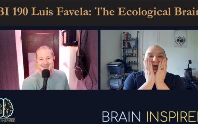 BI 190 Luis Favela: The Ecological Brain