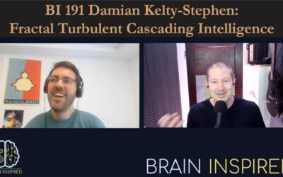 BI 191 Damian Kelty-Stephen: Fractal Turbulent Cascading Intelligence