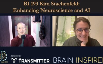 BI 193 Kim Stachenfeld: Enhancing Neuroscience and AI