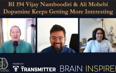 BI 194 Vijay Namboodiri & Ali Mohebi: Dopamine Keeps Getting More Interesting