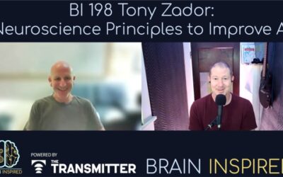 BI 198 Tony Zador: Neuroscience Principles to Improve AI