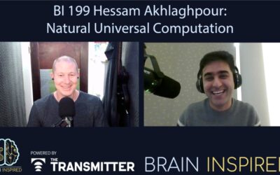 BI 199 Hessam Akhlaghpour: Natural Universal Computation