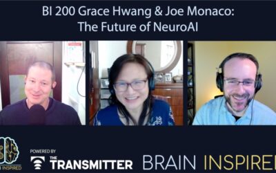 BI 200 Grace Hwang and Joe Monaco: The Future of NeuroAI