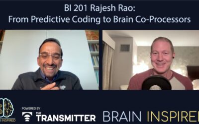 BI 201 Rajesh Rao: From Predictive Coding to Brain Co-Processors