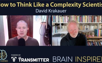 BI 203 David Krakauer: How To Think Like a Complexity Scientist