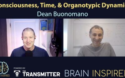 BI 210 Dean Buonomano: Consciousness, Time, and Organotypic Dynamics