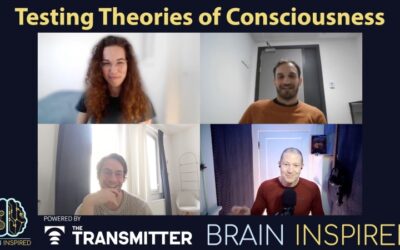 BI 211 COGITATE: Testing Theories of Consciousness