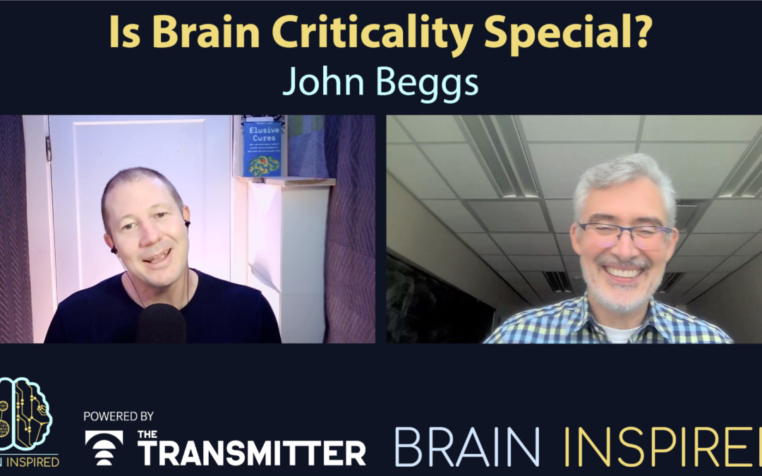 BI 212 John Beggs: Why Brains Seek the Edge of Chaos