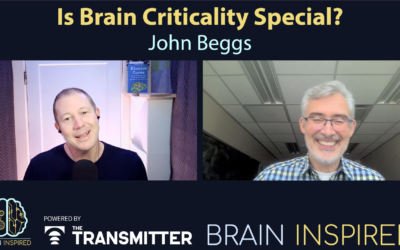 BI 212 John Beggs: Why Brains Seek the Edge of Chaos