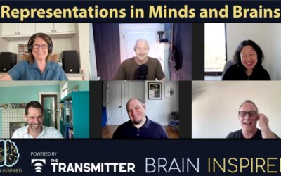 BI 213 Representations in Minds and Brains