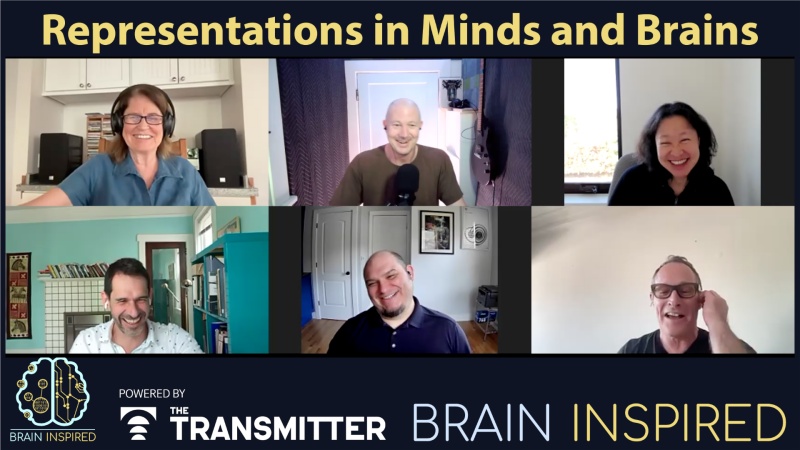 BI 213 Representations in Minds and Brains