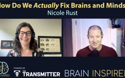 BI 214 Nicole Rust: How To Actually Fix Brains and Minds