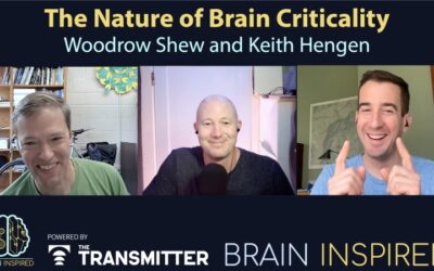 BI 216 Woodrow Shew and Keith Hengen: The Nature of Brain Criticality