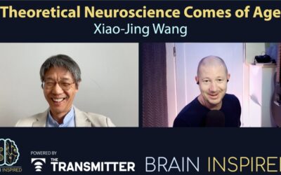 BI 215 Xiao-Jing Wang: Theoretical Neuroscience Comes of Age