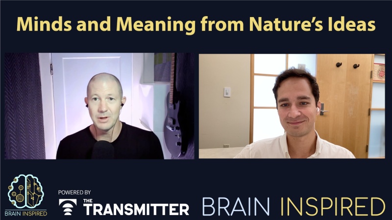 BI 222 Nikolay Kukushkin: Minds and Meaning from Nature’s Ideas